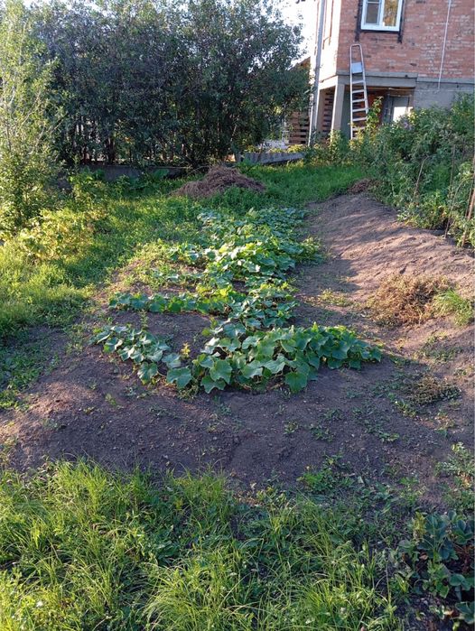 Продам дачу на Кожухово