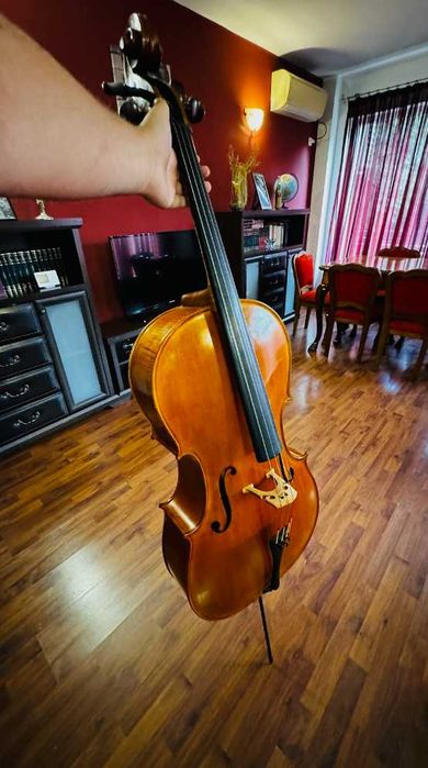 Violoncel Alexandru Ozon