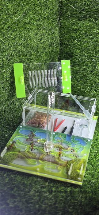 Муравьиная ферма АЛМАТЫ