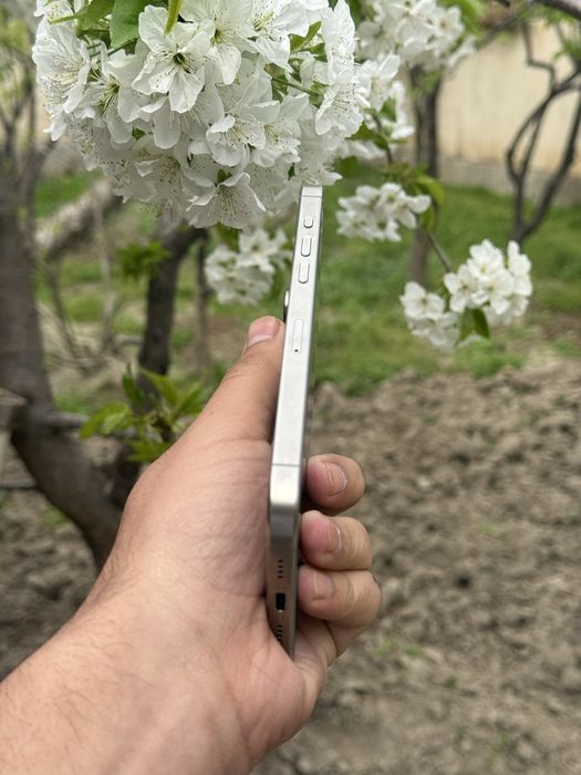 Iphone 15 Pro Max 256 Gb Natural 88%