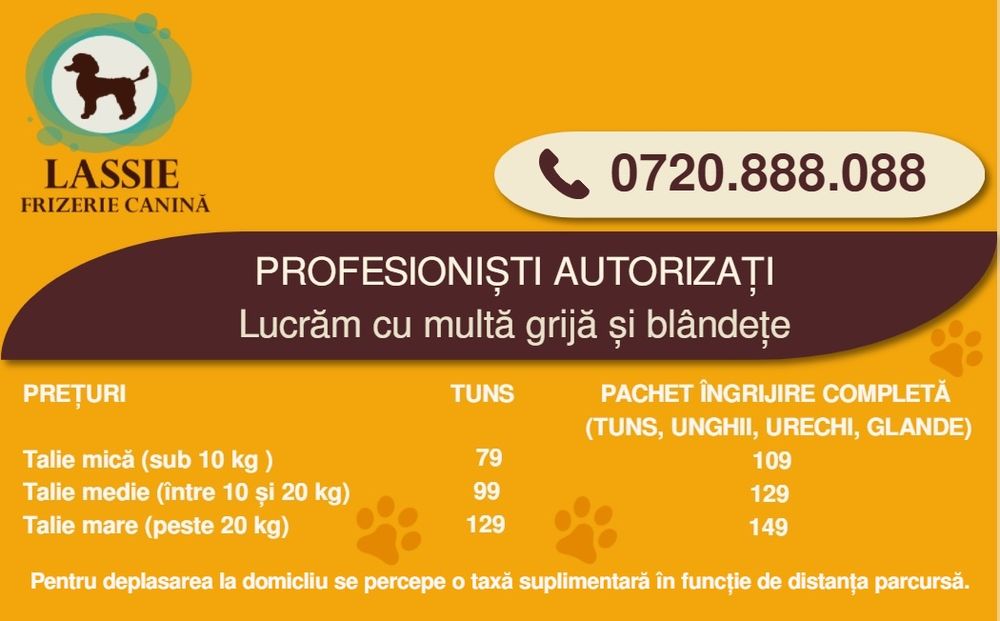 Frizerie canina la domiciliu / tuns catei / tund caini