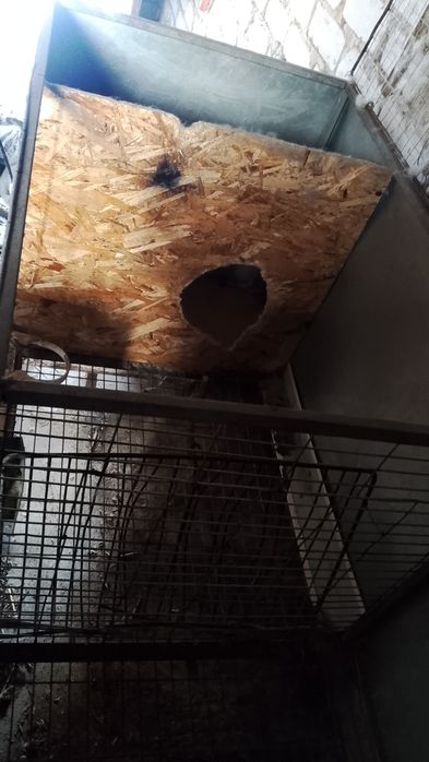 Клетки для кроликов