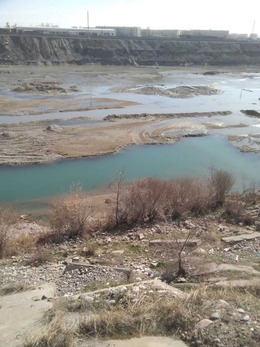 Купить, продать, оформить квартиру, дом, участок, наследство, дарение.