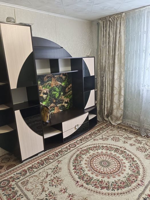 Сдам квартиру 1,5