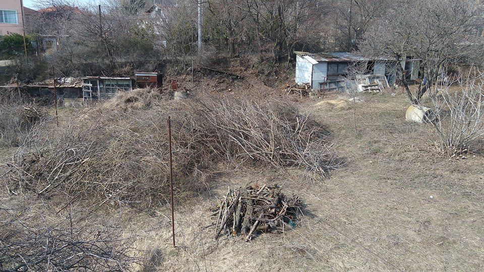 изрязване на трева храсти клони разумните цени