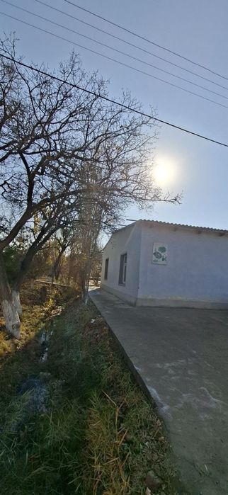 "Djabborov Ravshan" o/k. Faolyati choyhona. Natural joy