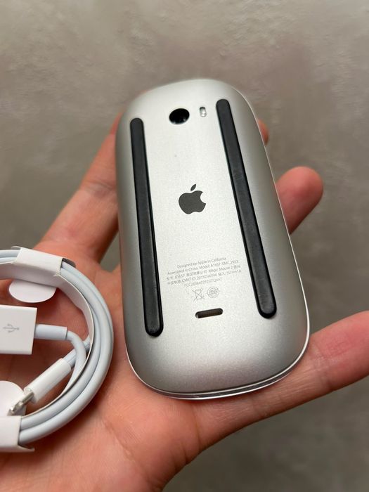 • Apple Magic Mouse 2 •