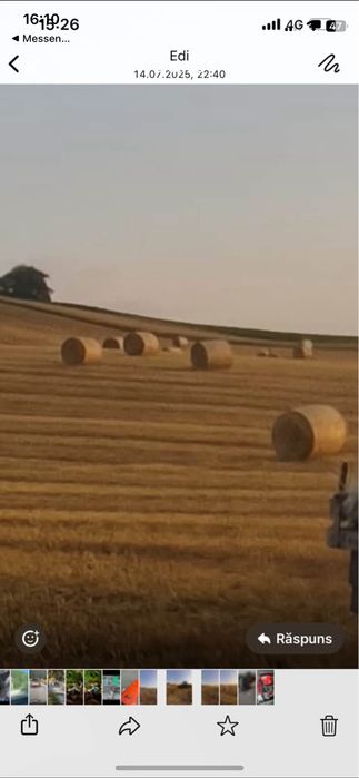 Vand baloti de paie grau