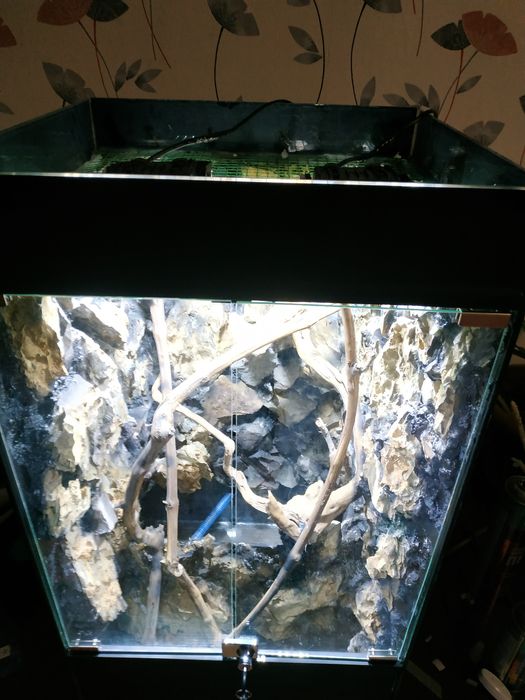 Продам террариум новый