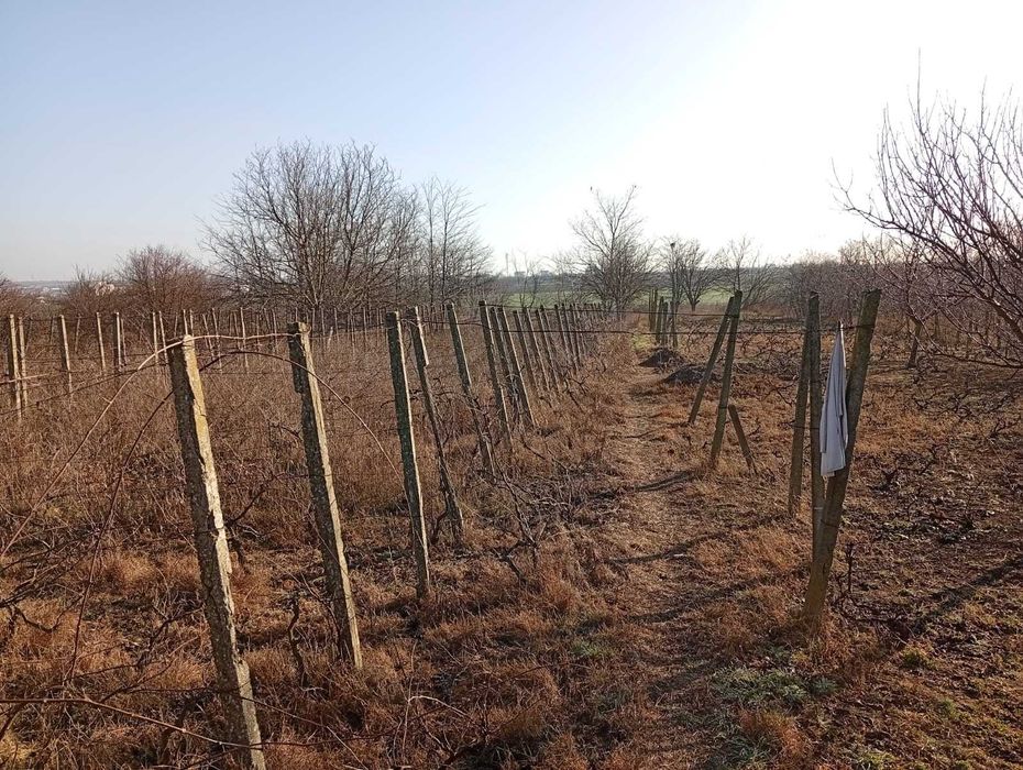 Teren de vanzare Techirghiol