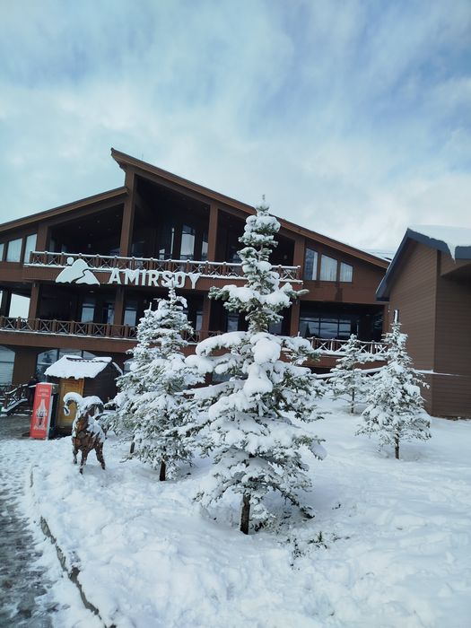 Taxi Bochka amirsoy Chimyon Parkent soʻqoq boʻstoliqlargi Arzon sifat