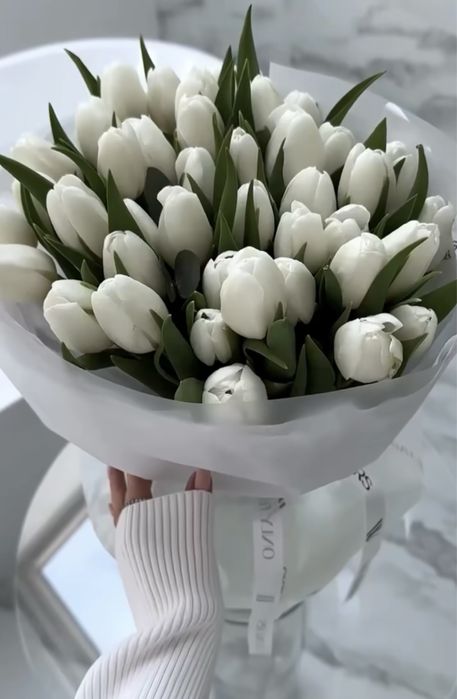 Тюльпаны на 8 марта