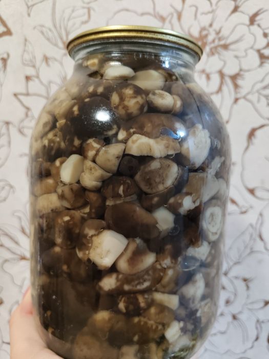 Продам маринованные валуи