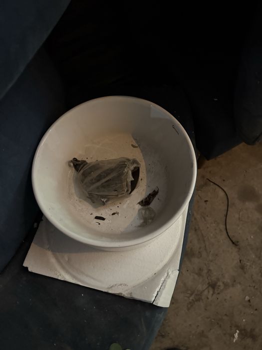 Продется раковина