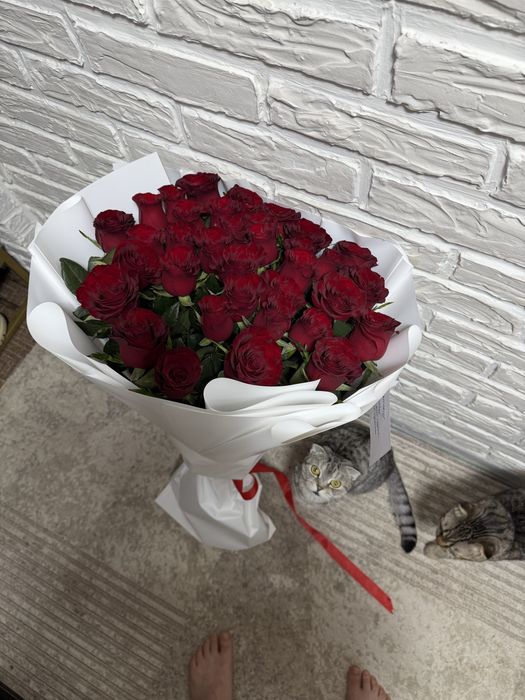 Розы красные Метровые