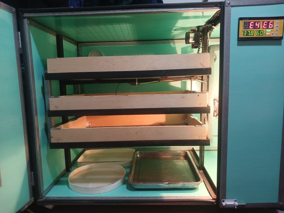 Инкубатор сатлады