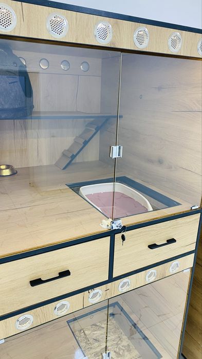 Зоогостиница. Заботливая передержка кошек от Олеси.