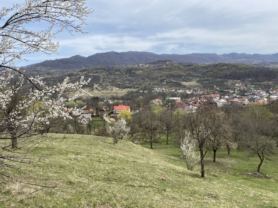 Teren intra/extravilan