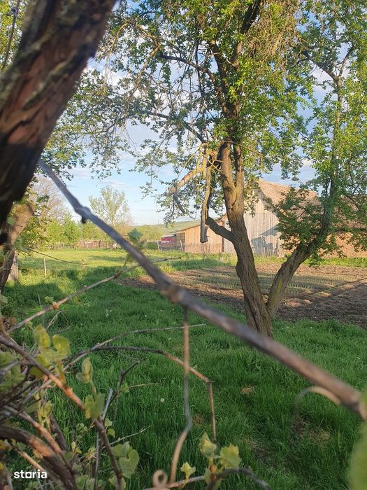 Casă de vânzare, 3 camere, curte mare, sura si grajd, teren 2600 mp