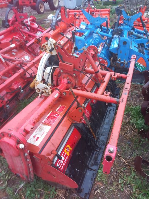 Freze de pământ japoneze aduse recent im țara