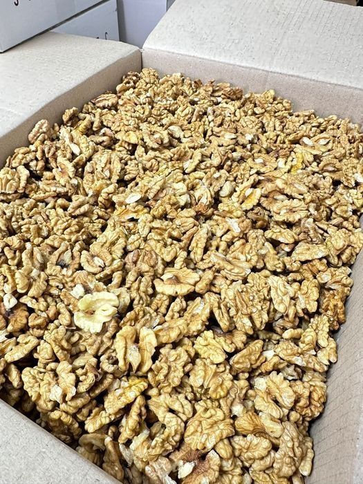 Vând miez de nuca 2024