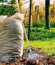 Уборка территорий