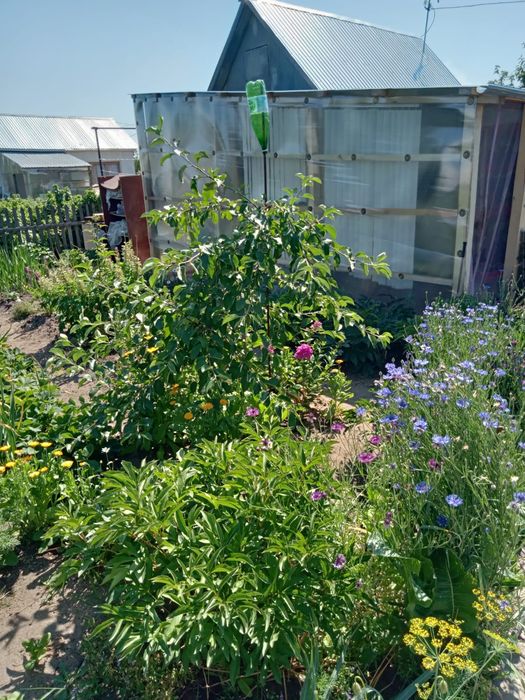 Продам дачу 6,5 соток