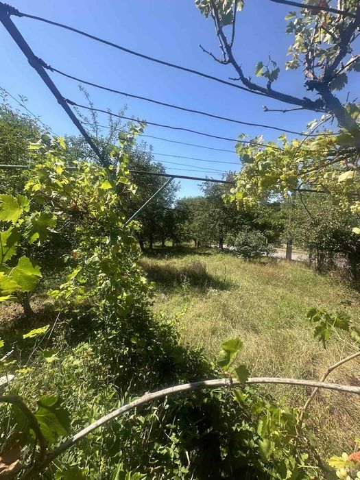 Продава се Къща в с. Габарево, Област Стара Загора - 25 кв.м за 978 €/кв.м - Снимка #3