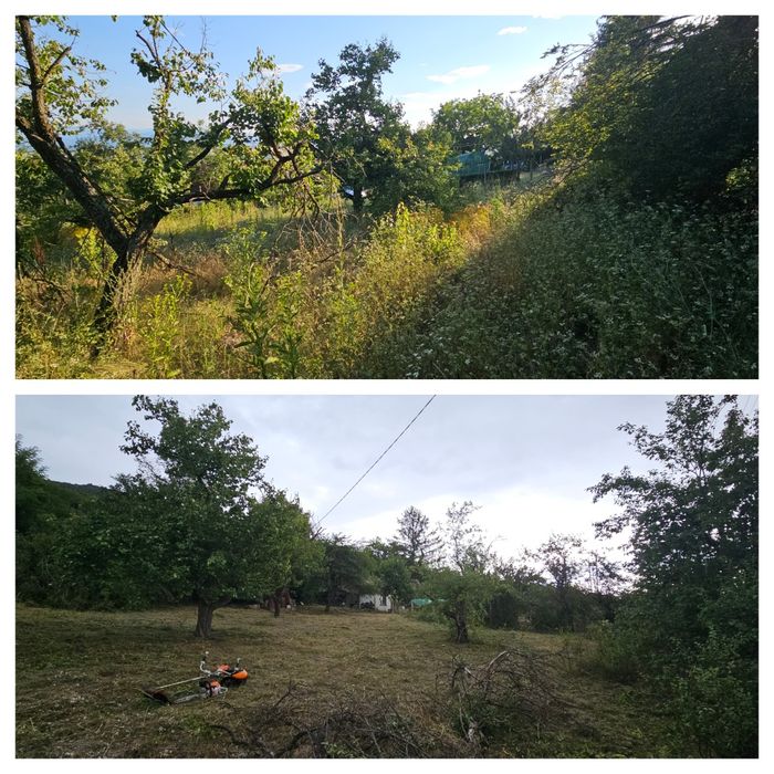 Градинарски услуги с професионална техника!