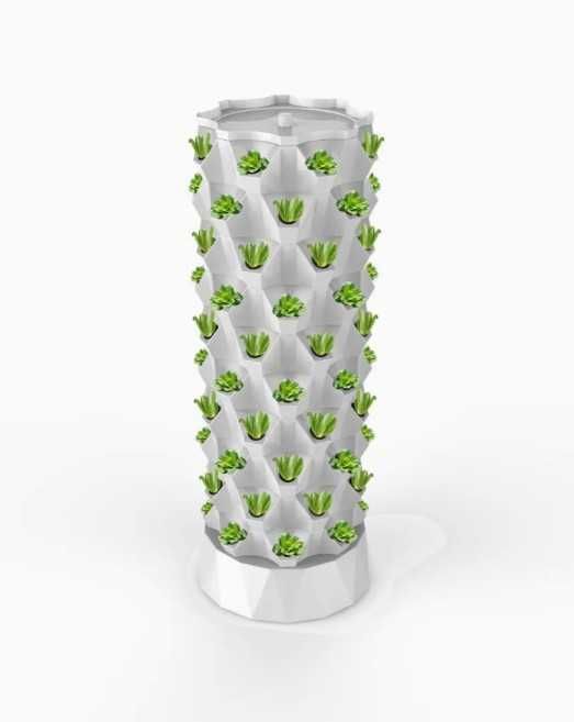 Гидропоника система ананас