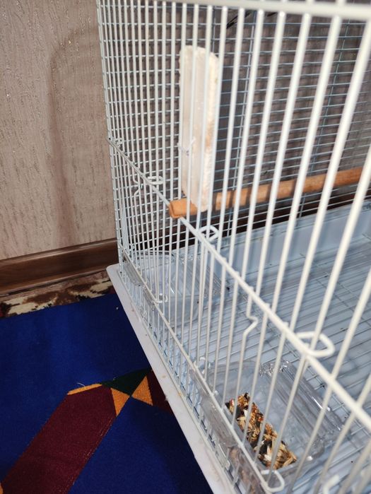 Клетка для птиц.