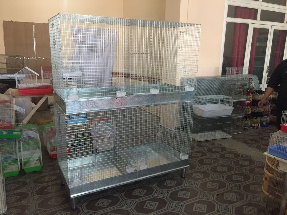 Валер Куш кизикувчилар учун