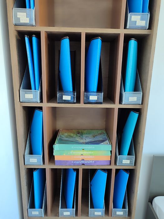 VÂND URGENT Set 20 mape albastre din plastic gros