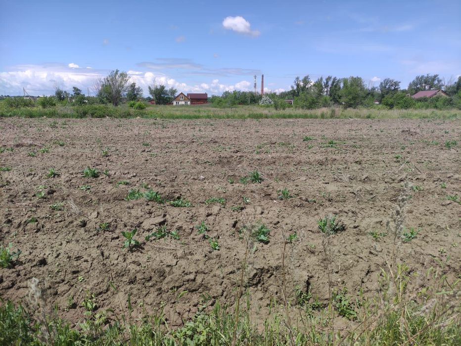 Продам дачный участок