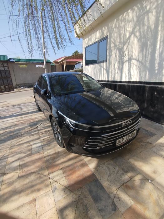 BYD chazor champion DM-I 55 KM L