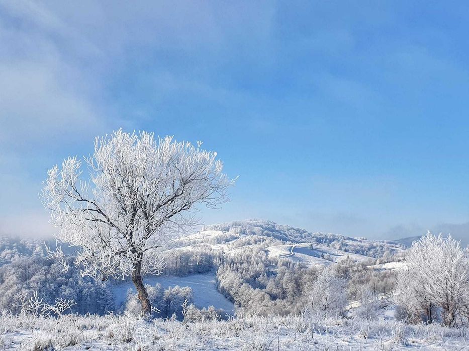 Teren premium 28.000 mp, 20.000 mp intravilan, langa Manastirea Poiana Sohodol - ideal investitie turistica