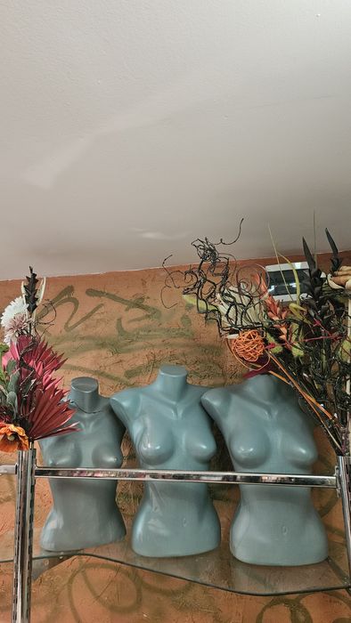 Торсове Манекени