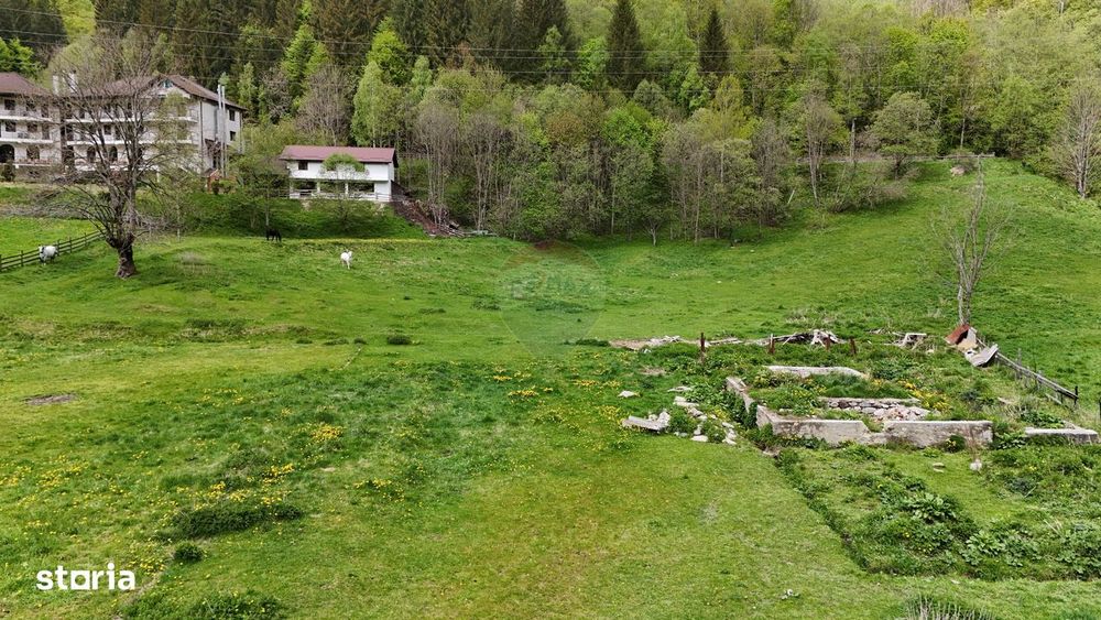 Intravilan | 10.000 mp| Sătic-Rucăr | Acces facil | Potențial excelent