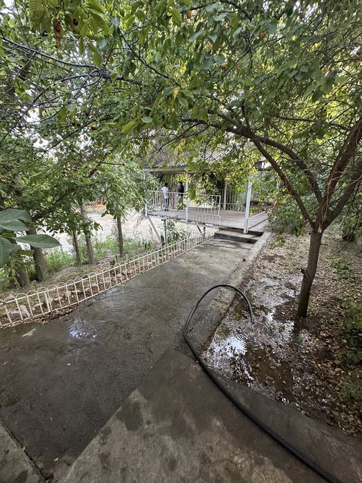 8.000$  Тойтепа , Qorasuv