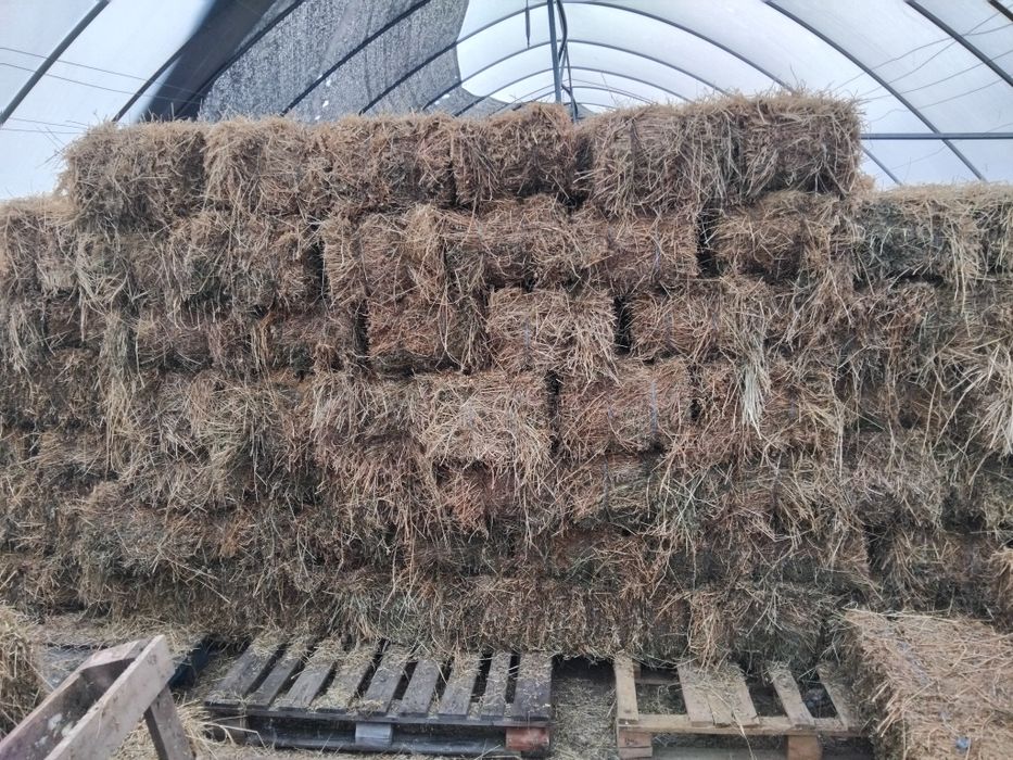 Baloti de fan cu lucernă