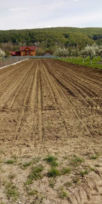 Teren 5.000 mp la DJ asfaltat – intravilan + extravilan.