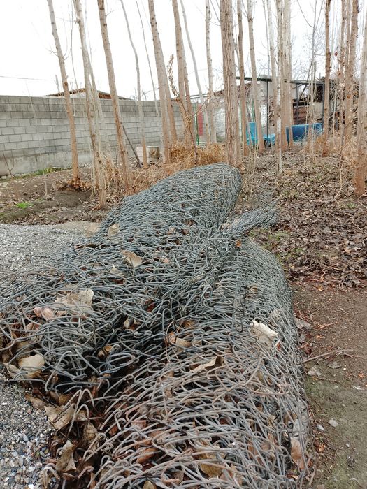 Zanglamas setka sotiladi