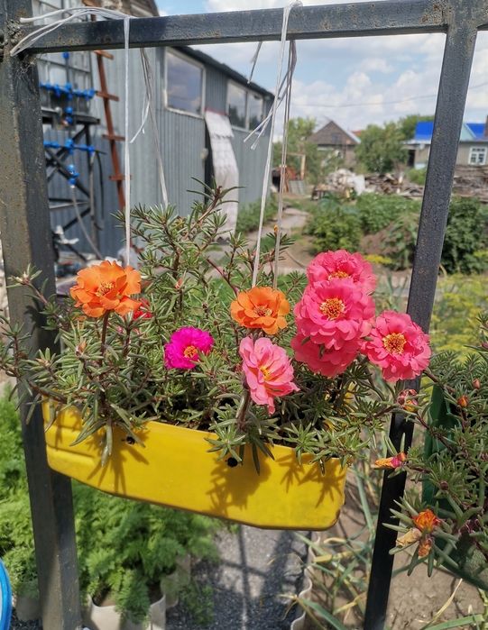 Продам дом Пришахтинск Обмен