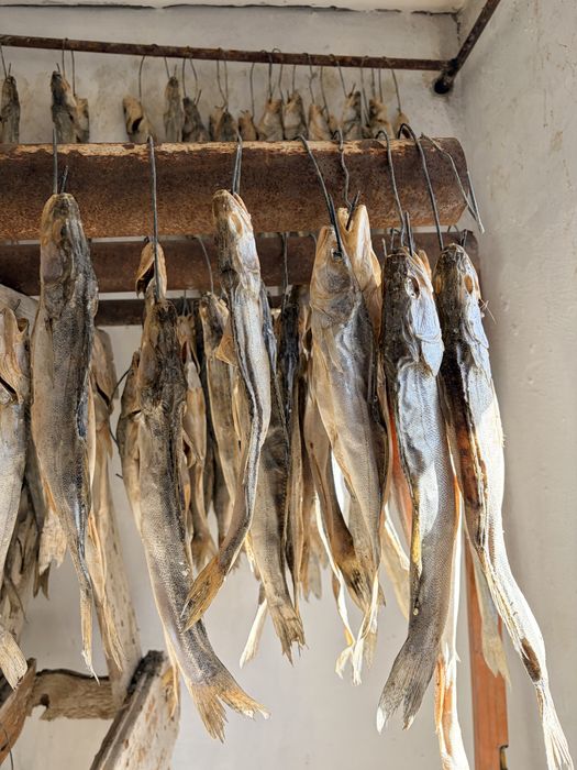 Судак кептырылген арзанга