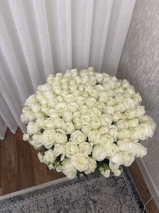 Продам белые розы 151шт