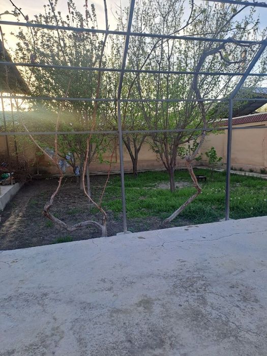 Мунис туйхона коттедж, Кармана торги 103-уй