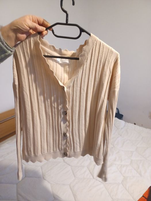 Ploveraș cu nasturi de primăvară damă