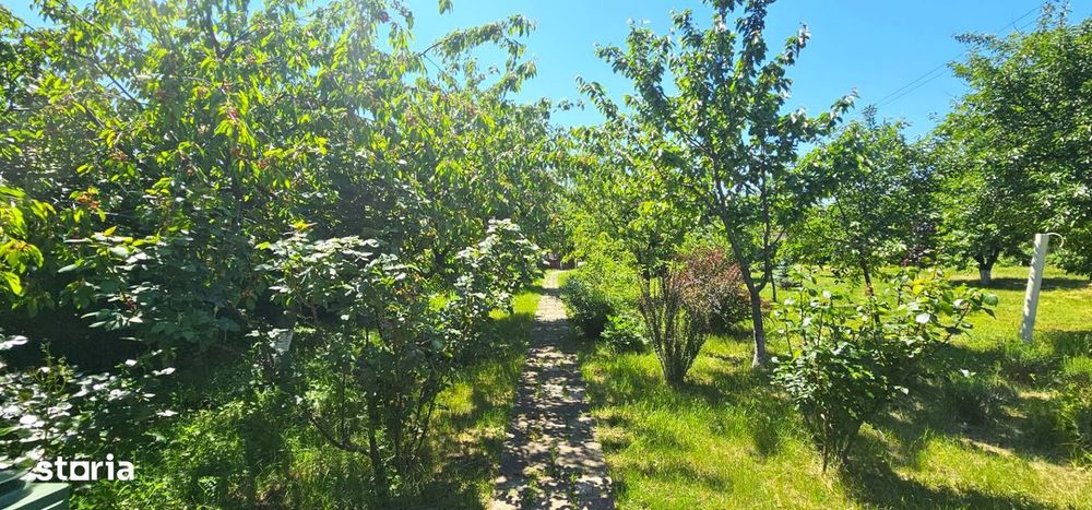 RARA AVIS! Teren 1550 mp, deschidere 31 m, zona Ferme, Otopeni