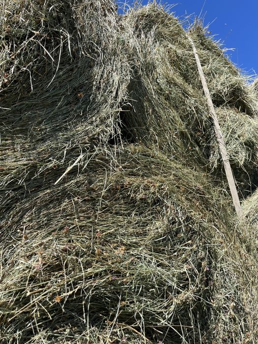 Vand baloti de otava si fan