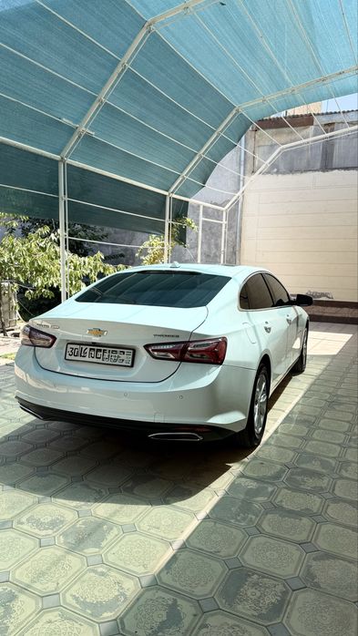 Malibu 2 premier tozza